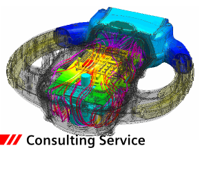 Service Consulting