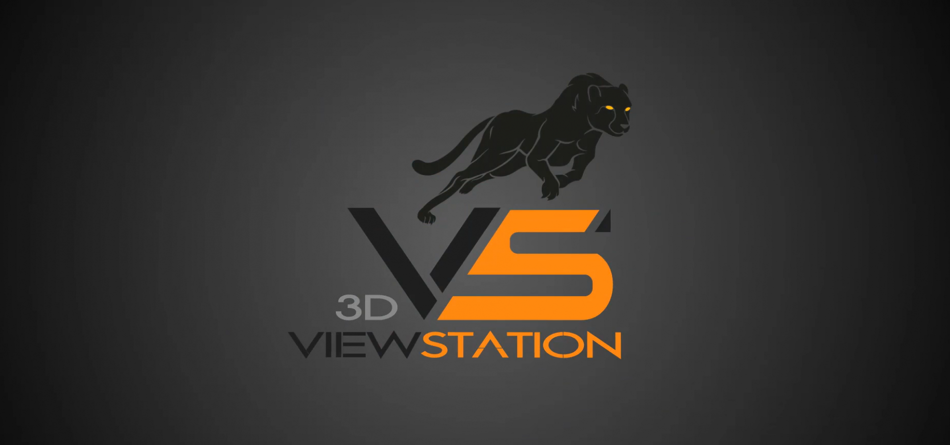 3DVS1