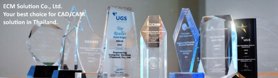 ECM Solution - About us
